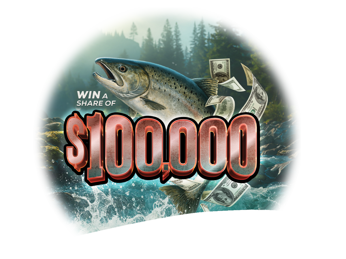 Main Kings Cash Web