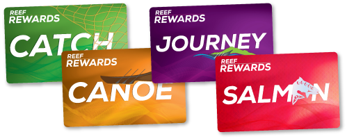 Grouped Cards